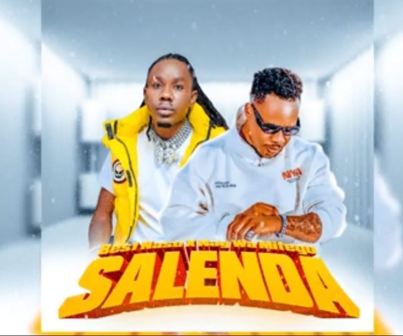 AUDIO | Best Naso Ft Nay Wa Mitego – Salenda | Download Mp3