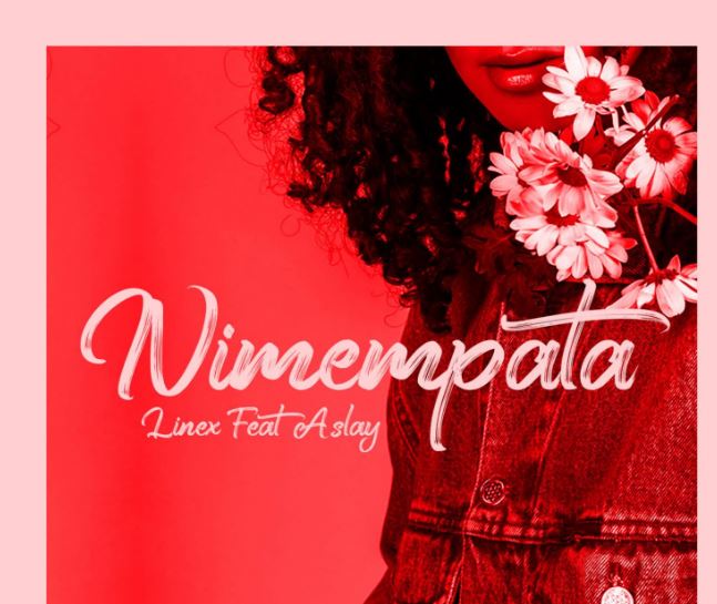 AUDIO | Linex Ft. Aslay – Nimempata | Download Mp3