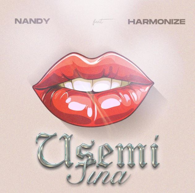 AUDIO | Nandy Ft Harmonize – Usemi Sina | Download Mp3