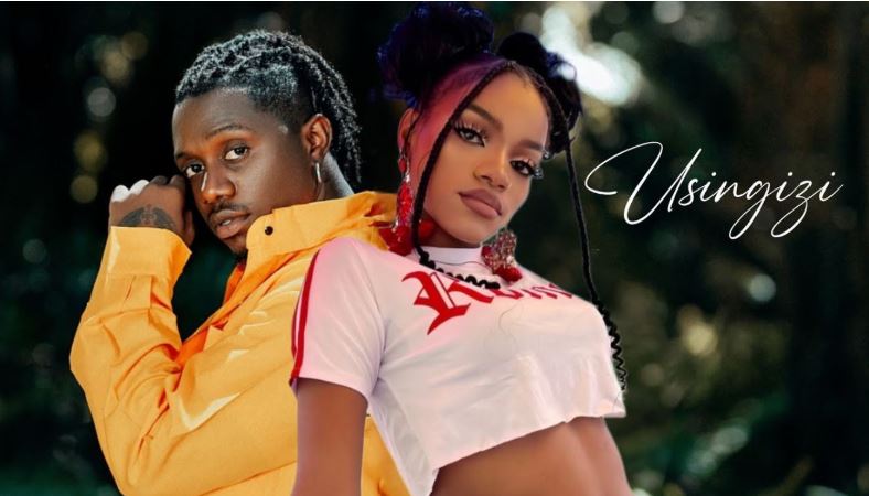 AUDIO | Rayvanny Ft. Yammi – Usingizi | Download | Mp3